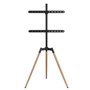 Support de TV GEMBIRD TVS-65S-01