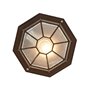 Qazqa bri - Plafonnier - Ø 26.5 cm - Brun rouille - Rustique - éclairage extérieur