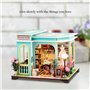 TOPBSFARNY Accessoires de maison de poupée en bois, kit de maison miniature à faire soi-même pour adultes, kit de maison de cout