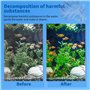 Filtre Biologique pour Aquariums et Bassi