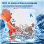 Nobleza - 12 en 1 Matériau pour Filtre d'Aquarium, Anneau en Céramique, Filtre Poreux, Filtre Biologique pour Aquariums et Bassi