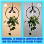 WiZ Lampe LED intelligente ultra efficace, E27, classe d'efficacité énergétique A, économe en énergie, automatisation et contrôl