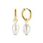 Boucles d´oreilles Femme CO88 Collection 8CE-70426 Doré