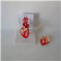 RMJEZTQD Modèle Anatomique du cœur canin, viscéral canin - Modèle Anatomique du cœur canin - Anatomie du cœur canin for l'étude 