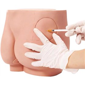 Modèle d'enseignement de mannequin