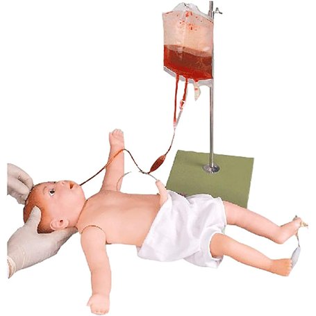 Modèle de pratique infirmière mannequin