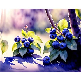 ZHAOSHAN Peinture sur toile affiche 58 x 90 cm sans cadre Blueberry Bush in Nature Sunlight and Shadows