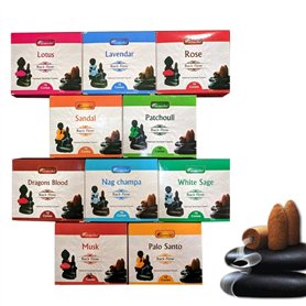 Lot de 12 paquets de cônes d'encens naturels à refoulement - 120 pièces au total - 10 parfums : sang-dragon