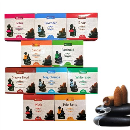 Lot de 12 paquets de cônes d'encens naturels à refoulement - 120 pièces au total - 10 parfums : sang-dragon