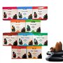 Lot de 12 paquets de cônes d'encens naturels à refoulement - 120 pièces au total - 10 parfums : sang-dragon