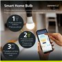 ZigBee