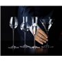 Riedel 440017 Sommeliers Martini Verre 1Boîte