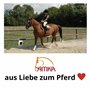 Reitsport Amesbichler AMKA Paire d'étriers de sécurité en acier inoxydable Motif Islande