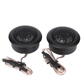 Haut Parleur de Voiture