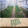 serres de légumes