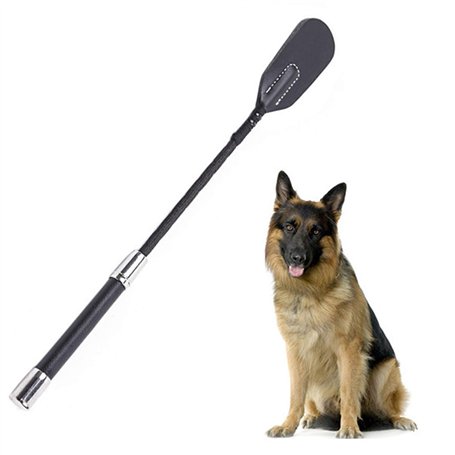 FAMKIT Fouet de dressage pour chien avec embout en cuir - Accessoire d'entraînement pour animal domestique - Jouet d'extérieur e