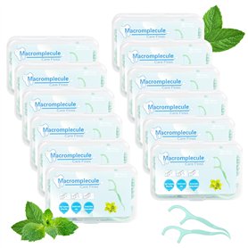 600 Pcs Fil Dentaires à la Menthe Porte
