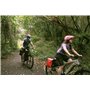 AEROE Spider Porte-Bagages Compatible avec Tous Les vélos de Montagne, VTT, Gravier et Route. Facile à Installer et à Utiliser, 