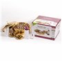 Rw Brass Starter Kit