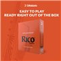 Anches de saxophone Rico - Anches de saxophone alto - Anches de saxophone alto 2, 10-Pack