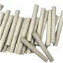 Easy Gardener Jobe's/Jobes Lot de 30 Pointes d'engrais pour fougère et Palmier