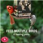 Perky-Pet Mangeoire à oiseaux Lanterne Vie Sauvage avec perchoirs ajustables - Décoration anti-écureuil à suspendre - Capacité m