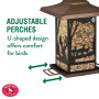 Perky-Pet Mangeoire à oiseaux Lanterne Vie Sauvage avec perchoirs ajustables - Décoration anti-écureuil à suspendre - Capacité m