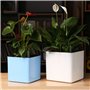 Jauge D'humidité Plante Fleurs Et Plantes Les Plantes Indicateur Sol Humidité Mètre Sol d'Indicateur Niveau d'eau,pour L'entreti