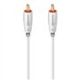 AudioQuest Greyhound - Câble Caisson de Basses de 3 m