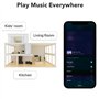 WiiM Mini Récepteur AirPlay 2, Diffuseur Multiroom, DAC & Préampli, Fonctionne avec Alexa et Siri, Diffusion de Spotify, Amazon 