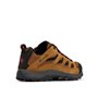 Low Rise Trekking and Hiking Shoes