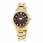 Montre Femme Devota & Lomba DL001W-02BROWN (36 mm) 41,99 €