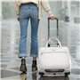 VEVOR Sac à roulettes pour Ordinateur Portable 15,6 Pouces, Mallette à roulettes pour PC, avec 2 Roues Fixes, Poignée Télescopiq