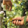 2 Pcs Sécateurs de Jardin avec Lames Courbes revêtues de Titane, Sécateurs et Ciseaux de Jardinage, Cisaille à Bonsai pour la Pl