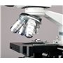 2000 x LED Lab microscope trinoculaire composé microscope W 3d Scène mécanique + 3 MP Camera