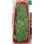Graines de fleurs Testumix Mini pour tortues,lapins, poules et abeilles