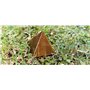 Jet International Pyramide d'oeil de tigre Env. 1,25-1,5"environ. Éléments de la Terre Reiki Gemstone Guérison Vastu Chakra Équi