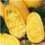 Risitar Graines - 10pcs Courgette Spaghetti végétal productive, Graines de légumes Plantes vivaces résistante au froid