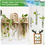 LYTIVAGEN 12 PCS Tubes à Essai en Plastique Transparents avec Bouchon à Vis Bouteille Sensorielle Vide Réutilisable Cadeau de Tu