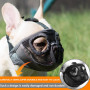 JYHY Court museau Chien Muzzle- Réglable Respirant en Maille Muselière Bulldog pour Piqûres d'Chewing aboiements Chien Masque (S
