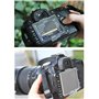 FANZR Lot de 2 coques de protection d'écran LCD pour appareil photo Nikon D300, D300s SLR Transparent ABS Remplace BM-8