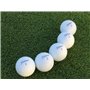 Titleist Pro V1 Lot de 50 balles de golf reconditionnées Grade perle