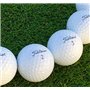 Titleist Pro V1 Lot de 50 balles de golf reconditionnées Grade perle