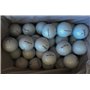 Titleist Pro V1 Lot de 50 balles de golf reconditionnées Grade perle