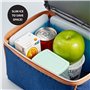 Fit & Fresh 336HLJP Lot de 4 glaçons réutilisables pour boîtes à déjeuner/Sacs et refroidisseurs Multicolore 11,4 x 0,6 x 11,4 c