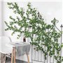 plante de vigne suspendue pour déco
