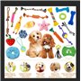20 Pièces Jouet pour Chien à Mâcher - Corde et Balle Interactives en Coton Sûr et Non Toxique - Nettoyage des Dents pour Chiot, 