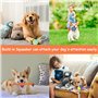 20 Pièces Jouet pour Chien à Mâcher - Corde et Balle Interactives en Coton Sûr et Non Toxique - Nettoyage des Dents pour Chiot, 