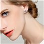 clous d'oreilles
