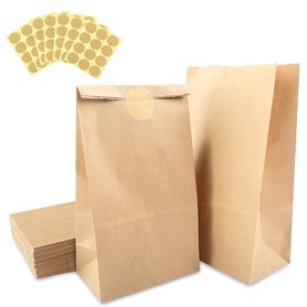 Fousenuk 50 Pièces Sac Kraft 13 x 8 x 24 cm
